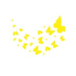 Sticker perete Fluturi - imagine 2